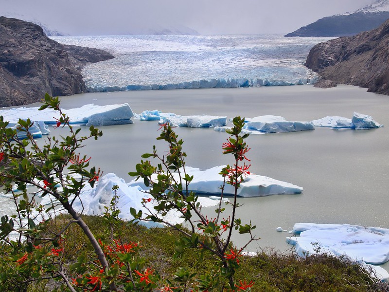 Torres del Paine (Lago Grey). Pata izquierda de W: de Lago Grey a Paine Grande - Por el sur del mundo. CHILE (13)