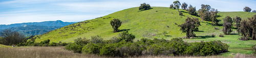 california park ca morning trees sky panorama horse grass outdoor sanjose trail santacruzmountains horseriding santateresacountypark santaclaracountyparks