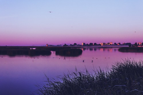 morning pink blue lake nature sunrise purple gradient liepaja liepāja ezers liepājas