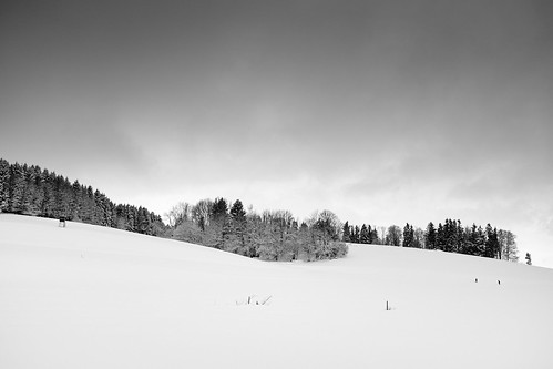 schnee trees winter blackandwhite bw snow salzburg monochrome clouds landscape austria outdoor wolken fujifilm schwarzweiss captureone x100t
