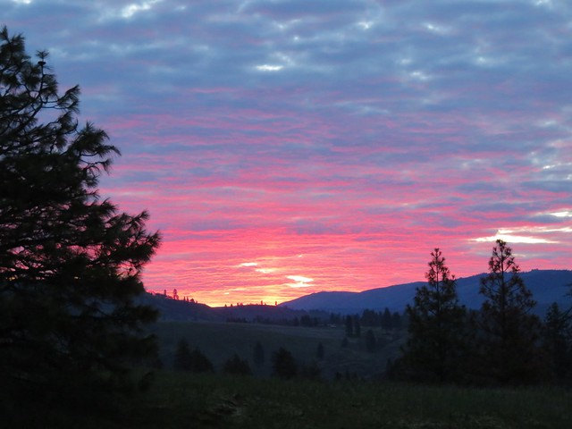 Sunrise from the Catherine Creek Trailhead