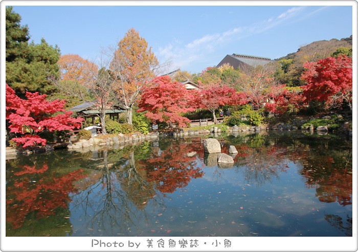 【日本京都】楓葉季和服體驗/TekuTeku 京都(てくてく京都) @魚樂分享誌