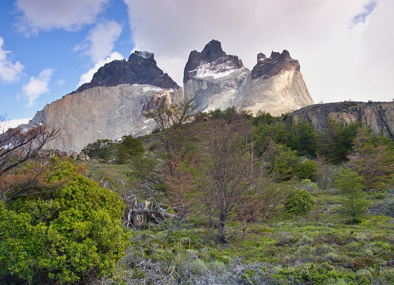 Por el sur del mundo. CHILE - Blogs de Chile - Torres del Paine: Mirador Las Torres (pata derecha de la W) (4)