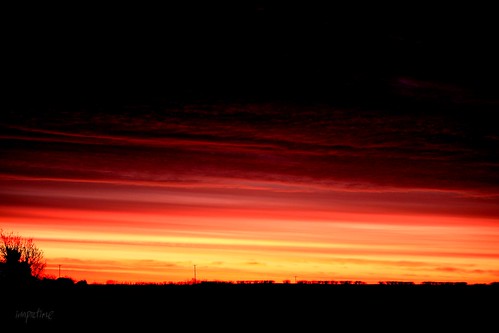 morning red sky orange tree field tangerine clouds sunrise dawn twilight explore powerline cambridgeshire nightday sunbreak daybreak darklight hedgerow civiltwilight telegraphpoles melbourn lightdark 520795530028323