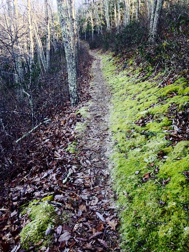 North Mountain Trail