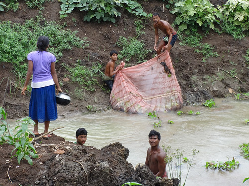 Villagers of Madhuban gram panchayat removing silt and water hyacinth from canal. (Source:RCDC)