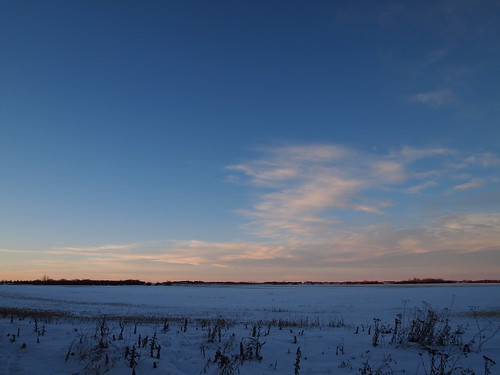 winter sunset sky snow canada field rural afternoon hiver champs ciel alberta neige campagne aprèsmidi coucherdesoleil décembre morinville december2015