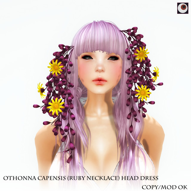 *NAMINOKE*Othonna capensis (Ruby Necklace)Headdress