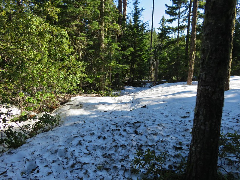 Elk Meadows Trail