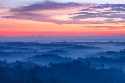 nature fog sunrise wonderful indonesia landscape kalimantan tenggarong kaltim