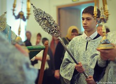 Антоньев монастырь литургия 290