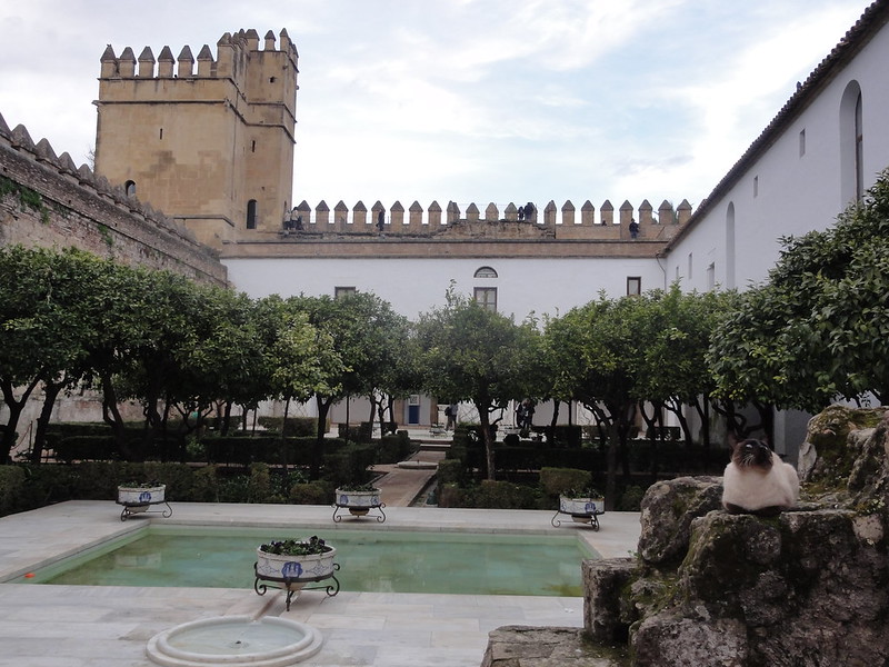 Recorriendo Andalucía. - Blogs de España - Córdoba capital (1): Judería, Alcázar de los Reyes Cristianos y callejeo. (28)