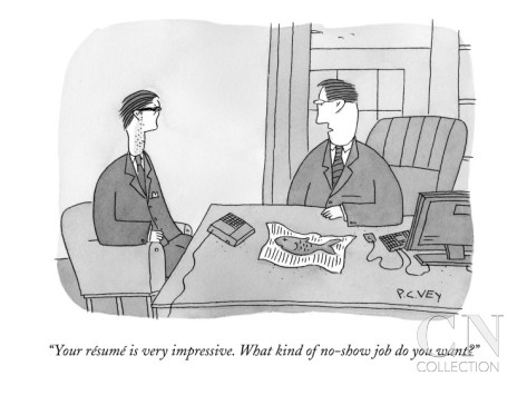 peter-c-vey-your-resume-is-very-impressive-what-kind-of-no-show-job-do-you-want-new-yorker-cartoon