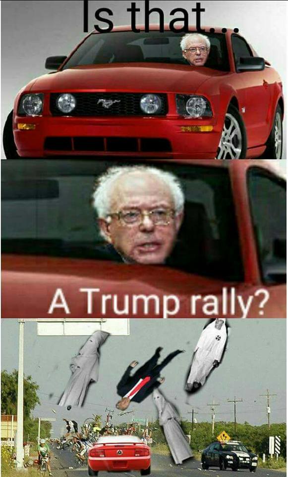 VWVortex.com - Mustang crashing memes take over facebook
Tim Wilson Memes