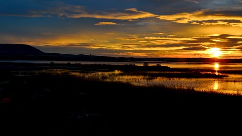 sunset españa landscape spain flickr sundown laguna navarra defensa carrizo humedales pitillas conservación
