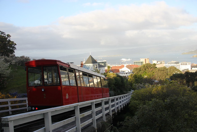 Día 11 - 10/10/15: Wellington: Mt. Victoria, Museo Te Papa y Cable Car - Nueva Zelanda, Aotearoa: El viaje de mi vida por la Tierra Media (73)