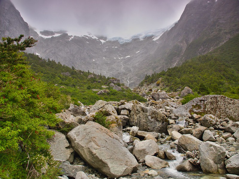 Ruta Austral: De Puerto Aysén a Puyuhuapi. Puerto Cisnes. Bosque encantado - Por el sur del mundo. CHILE (18)