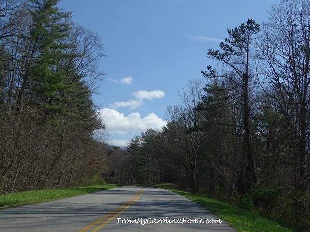 Blue Ridge Parkway drive March 2016 ~ From My Carolina Home