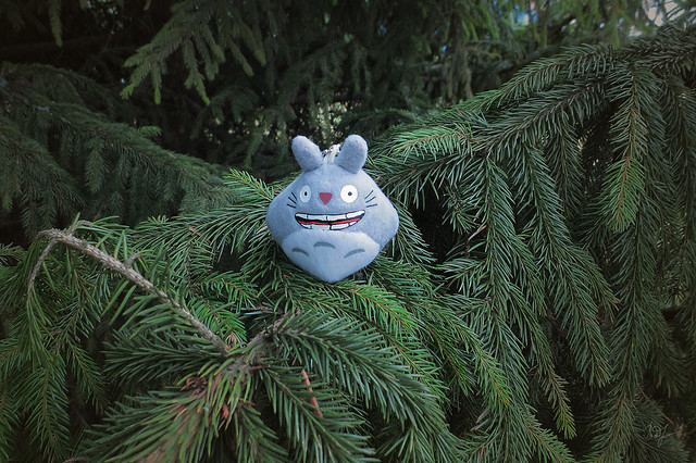 Day #105: totoro took refuge in the shadow of the spruce