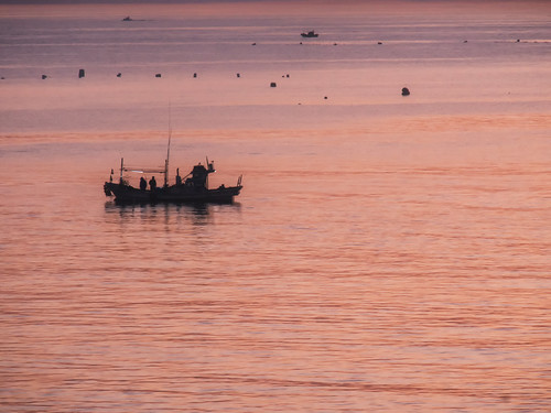 morning pink sea seascape water silhouette sunrise boat fishing asia pattern fishermen purple korea ripples kr southkorea goldenhour gangwondo 한국 goseonggun