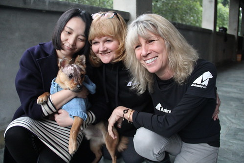 L to R: Yan Yingying, Lesley Nicol, and Jill Robinson with Tuffy