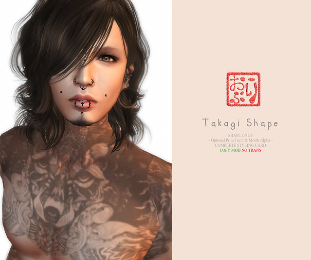 Takagi-Shape-copy-mod