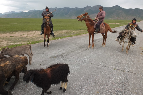 horses holiday june asia fuji centralasia kyrgyzstan pamir x10 2015 czerwiec kirgistan azja sarytash pamirhighway kirgyz azjasrodkowa