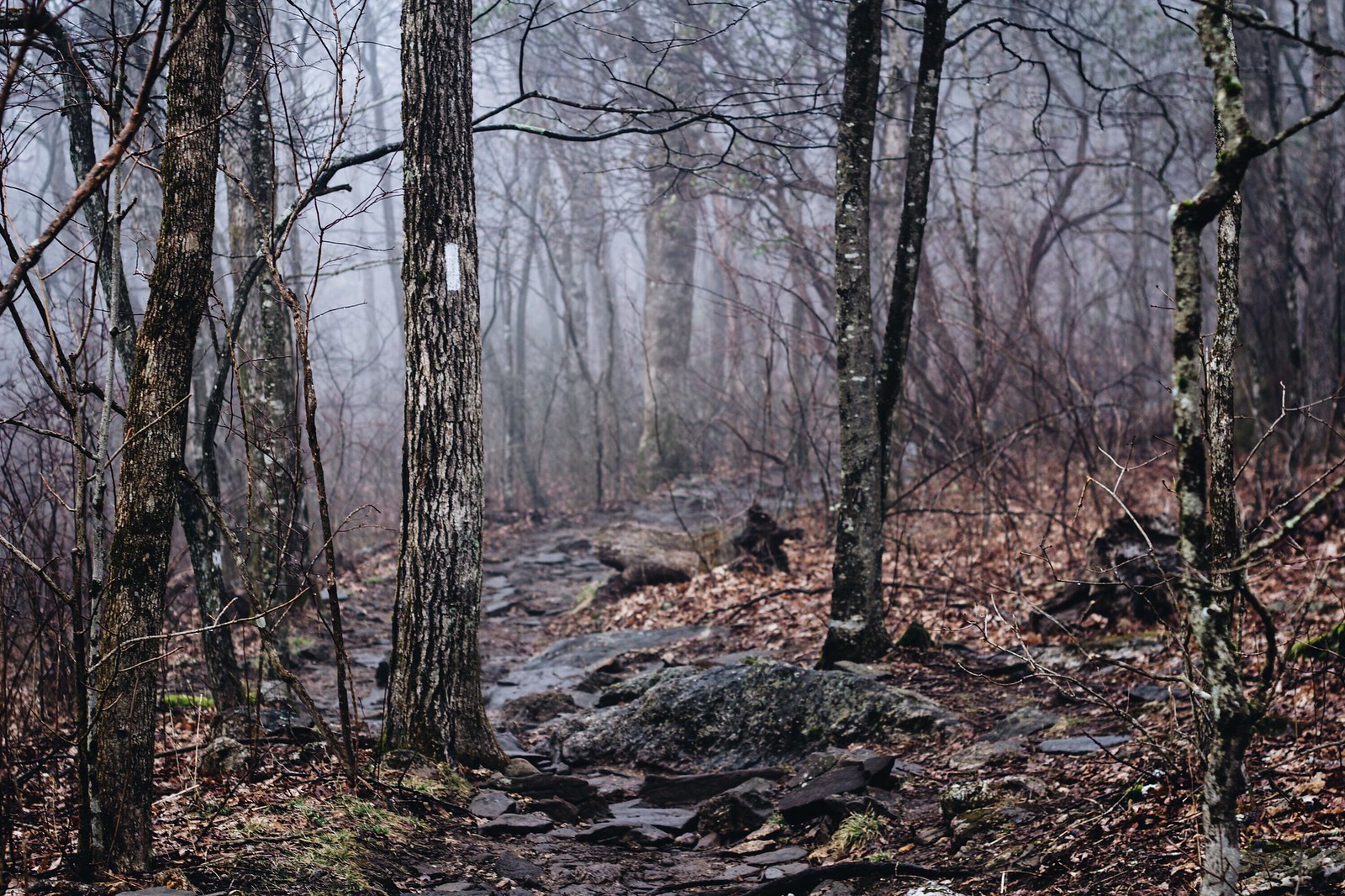 Appalachian trail