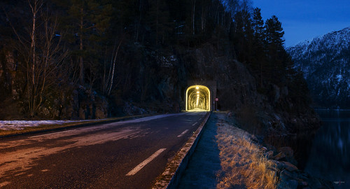 road trees night tunnel rogaland nesflaten 691roalkvamvegen kilentunnelen