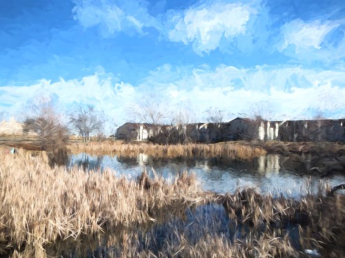 Leake Park Pond Renoir