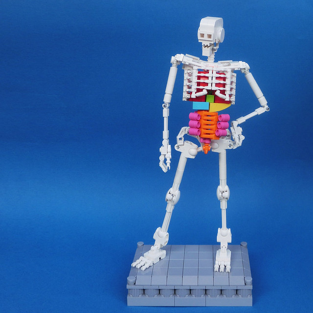 LEGO: Human Skeleton (1/14)