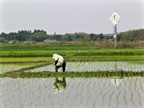 people water farm farming