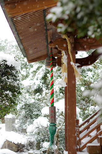 winter snow japan architecture shrine 中津市 大分県 ōitaken nakatsushi