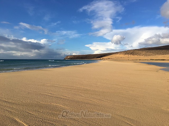 view Jandia beach0001 Fuerteventura, Canary Islands, Spain
