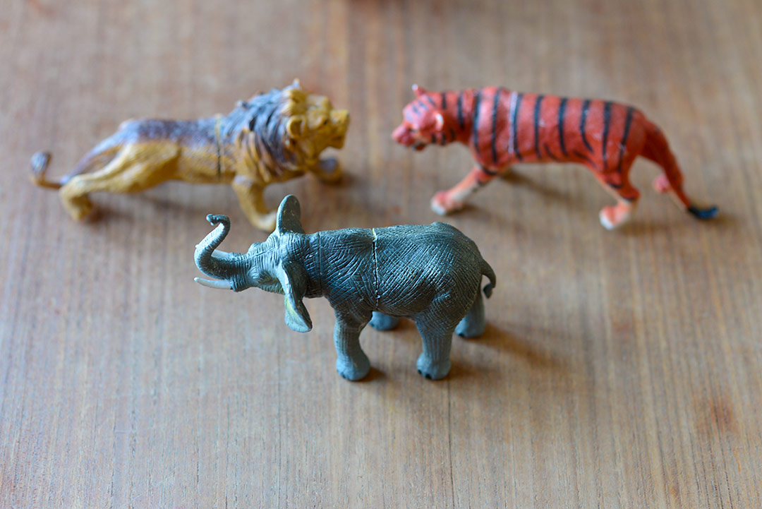 DIY Painted toy animal picture holders