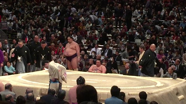 Sumo Day 6 2016