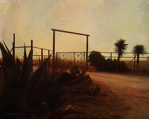 texture sunrise fence gate texas fences hillcountry frio melissagallo