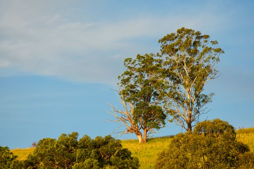 landscape nikon australia d750 newsouthwales aus firefly waukivory