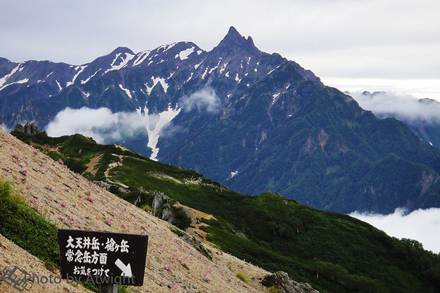 Mt.Yarigatake in summer