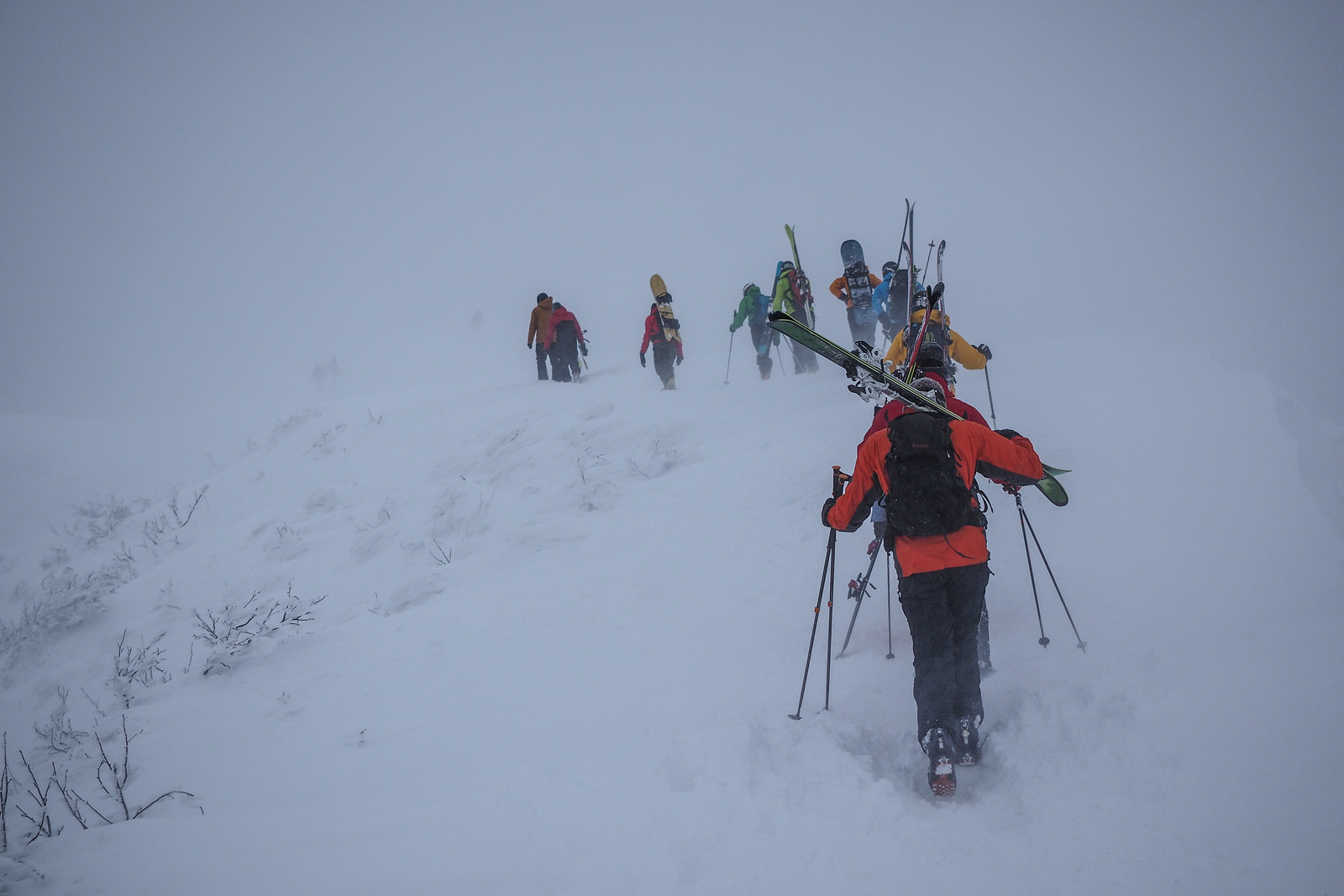 Lines of intrepid skiers hiking to the top of Mt. Annupuri (Niseko, Hokkaido, Japan)