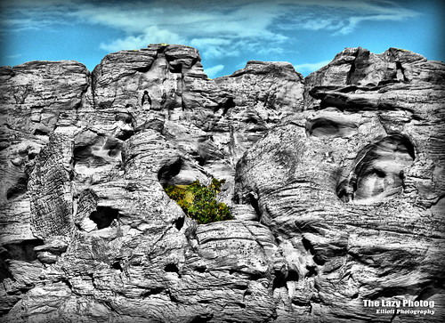 life plant rock photography faces lazy growing wyoming elliott formations photog noises worland 092611ftwashakieethetenikon