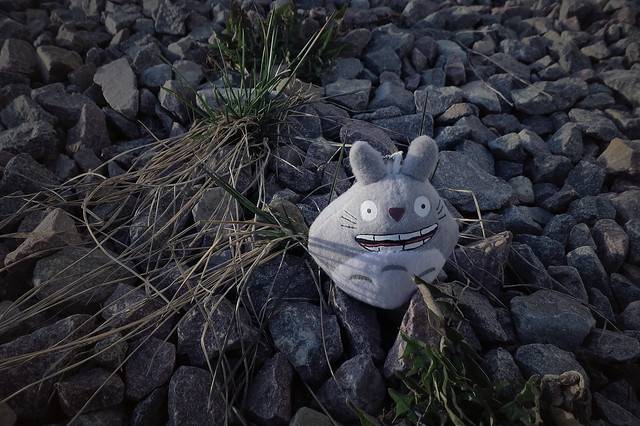 Day #99: totoro is just happy