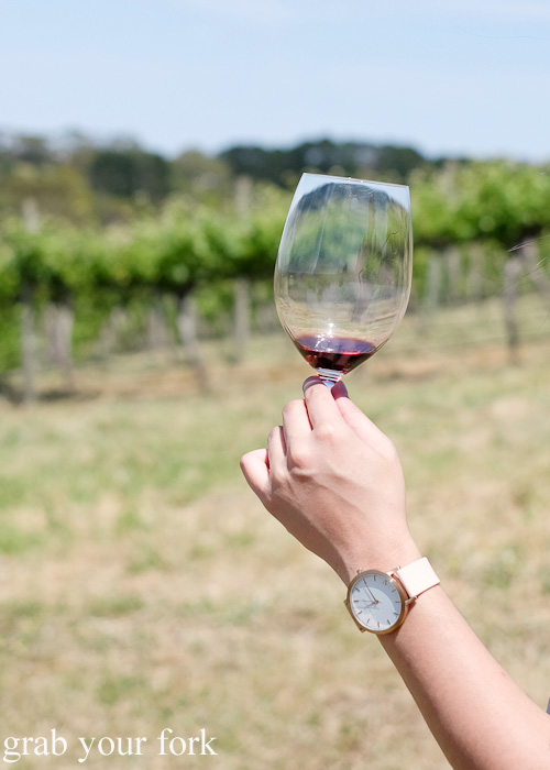 Drinking wine in the vineyards at Primo Estate in McLaren Vale, South Australia