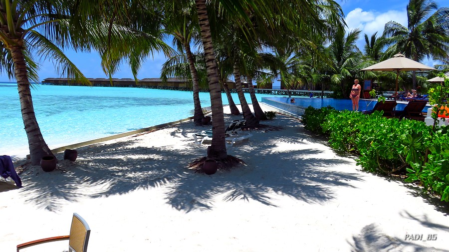 SOÑANDO DESPIERTO EN MALDIVAS - Blogs de Maldivas - RECORRIENDO LA ISLA (61)