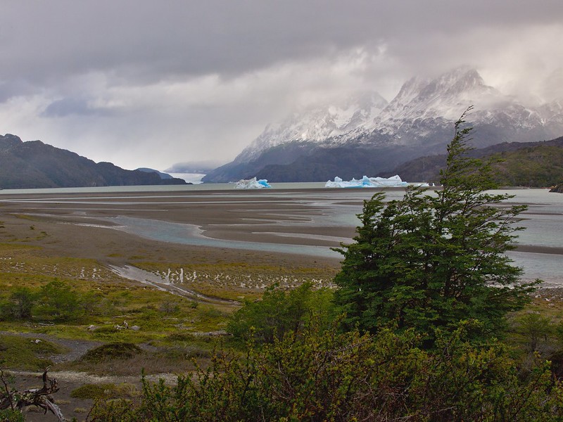 Torres del Paine (Lago Grey). Pata izquierda de W: de Lago Grey a Paine Grande - Por el sur del mundo. CHILE (3)