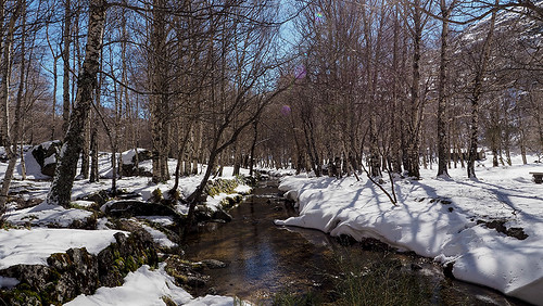 portugal nature rio agua eau natureza rivière neve neige serradaestrela