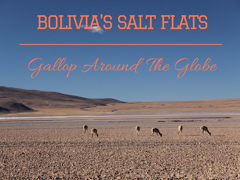 BOLIVIA'S SALT FLATS