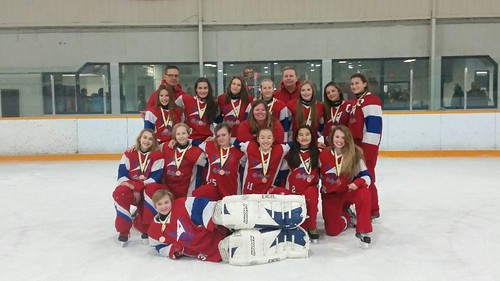 2016-01-31 Winnipeg Voyageur - U14AA Red wins Bronze