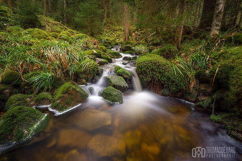 nature water forest long exposure vosges