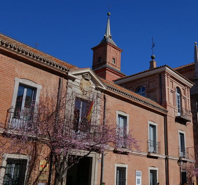 Comunidad de Madrid: pueblos, rutas y lugares, incluyendo senderismo - Blogs de España - Alcalá de Henares, ciudad universitaria Patrimonio de la Humanidad. (10)